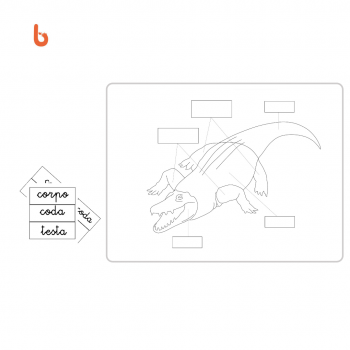 Nessuna immagine impostata 